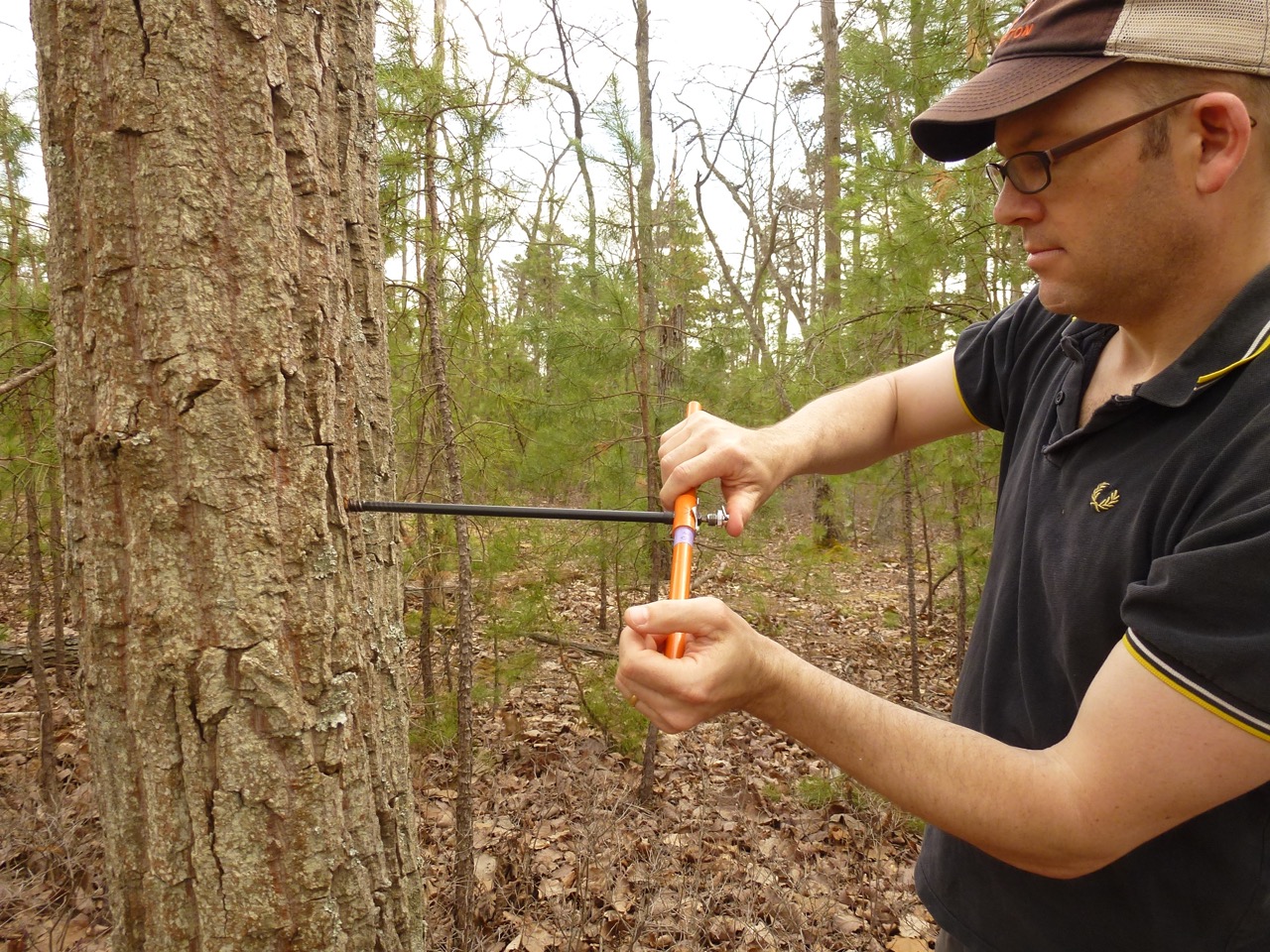 Tree coring